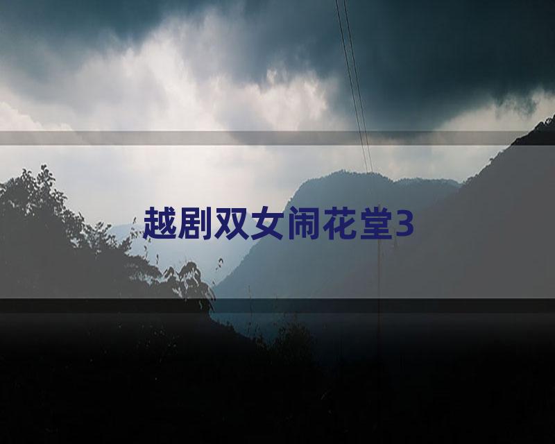 越剧双女闹花堂3
