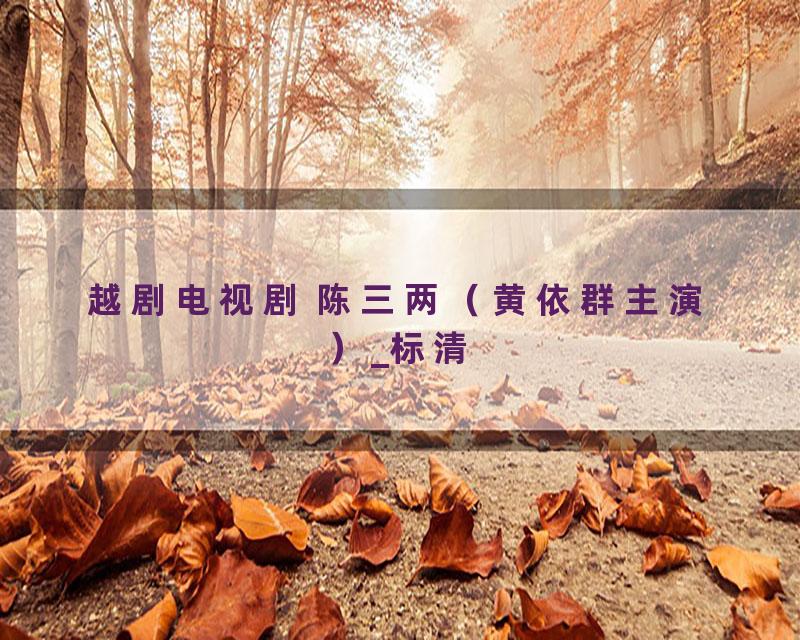 越剧电视剧 陈三两（黄依群主演）_标清