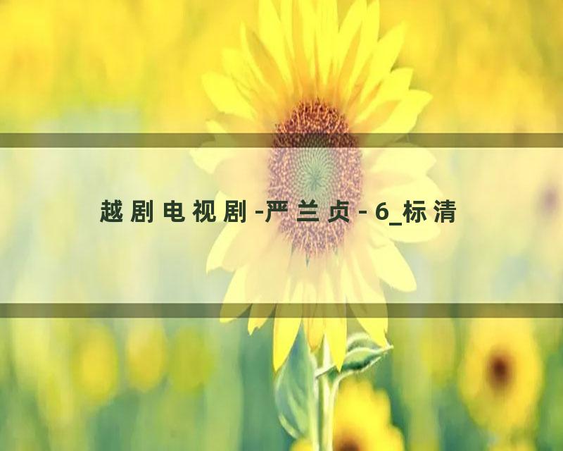 越剧电视剧-严兰贞- 6_标清