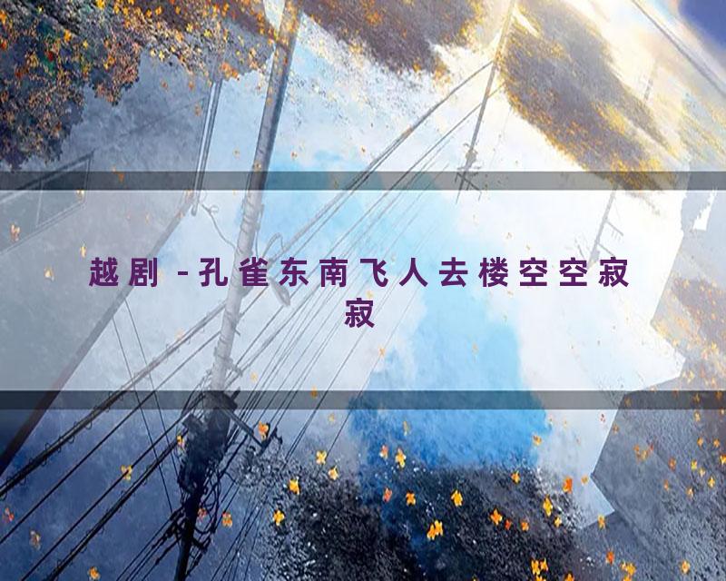 越剧 - 孔雀东南飞人去楼空空寂寂