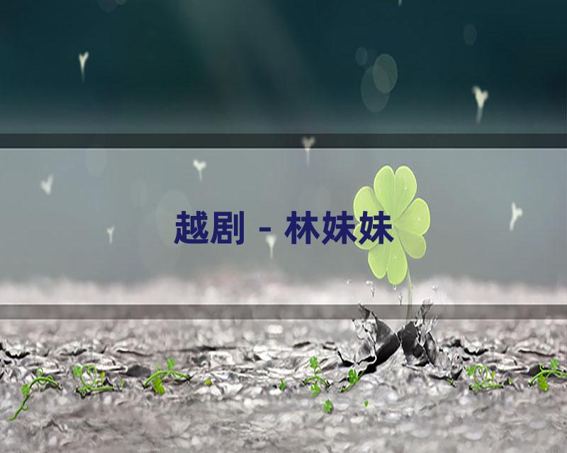 越剧 - 林妹妹