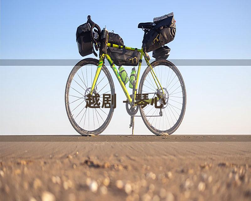 越剧 - 琴心