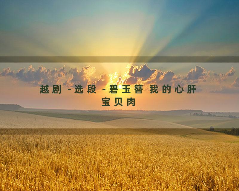越剧 - 选段 - 碧玉簪 我的心肝宝贝肉