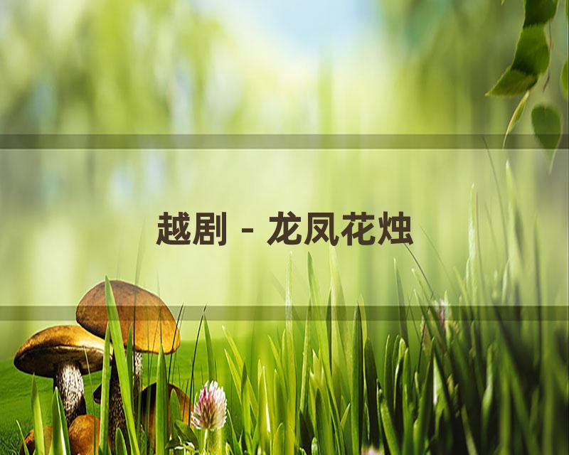 越剧 - 龙凤花烛
