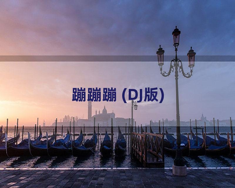 蹦蹦蹦 (DJ版)