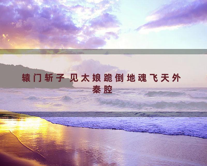 辕门斩子 见太娘跪倒地魂飞天外 秦腔