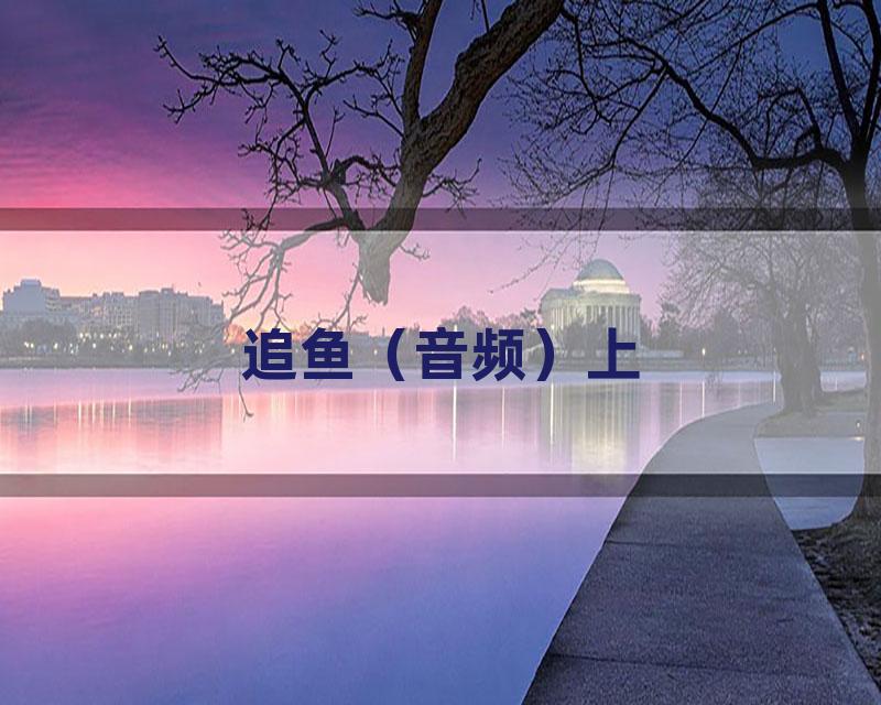 追鱼（音频）上