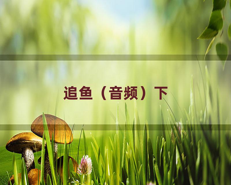 追鱼（音频）下