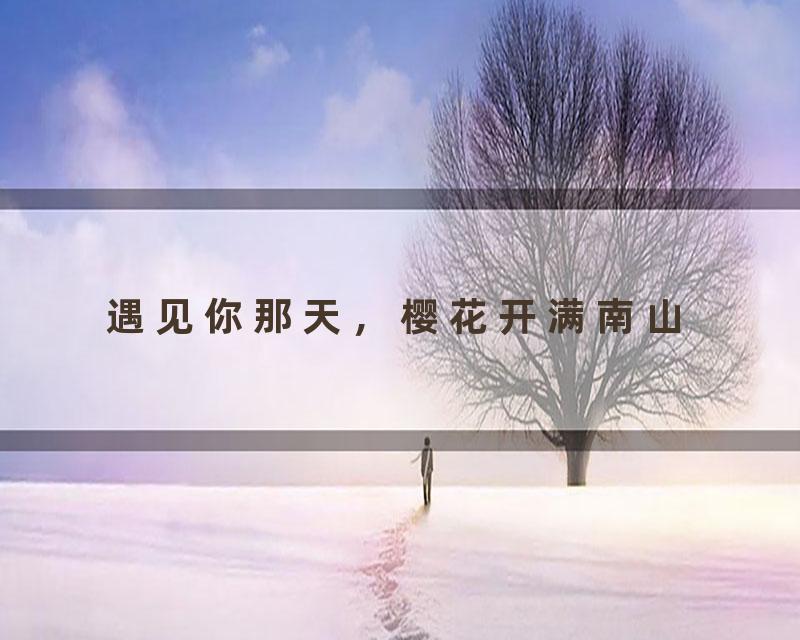 遇见你那天，樱花开满南山
