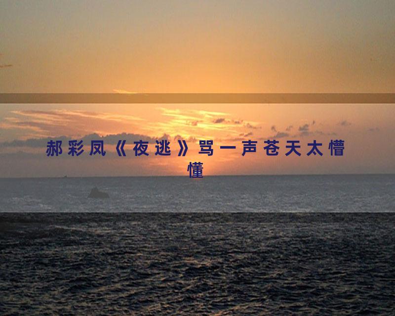 郝彩凤《夜逃》骂一声苍天太懵懂