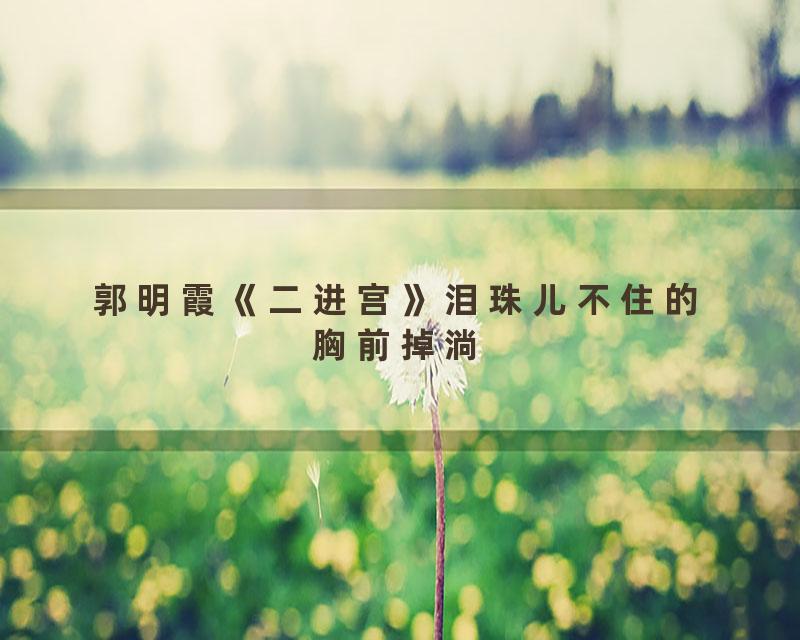 郭明霞《二进宫》泪珠儿不住的胸前掉淌