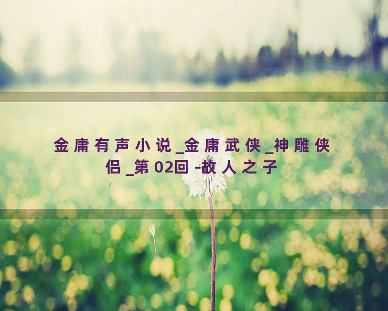 金庸有声小说_金庸武侠_神雕侠侣_第02回-故人之子