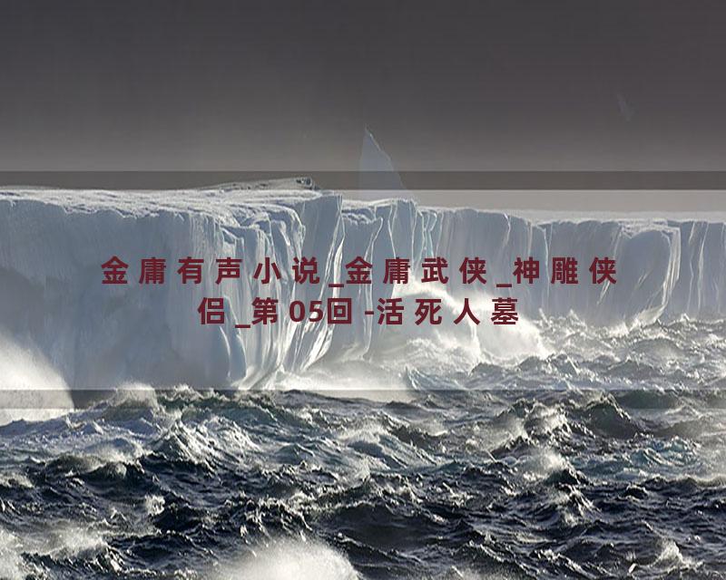金庸有声小说_金庸武侠_神雕侠侣_第05回-活死人墓