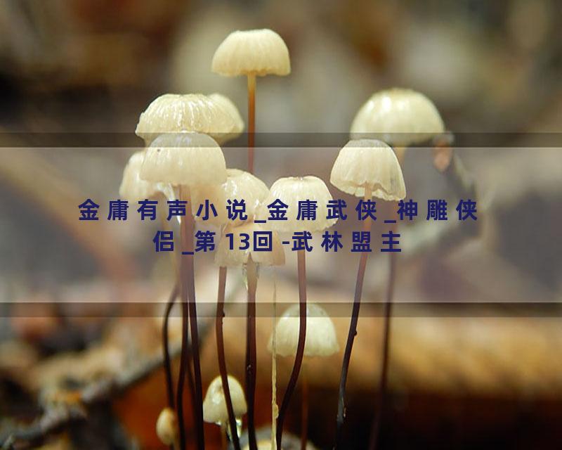 金庸有声小说_金庸武侠_神雕侠侣_第13回-武林盟主