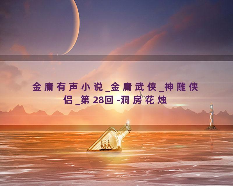 金庸有声小说_金庸武侠_神雕侠侣_第28回-洞房花烛