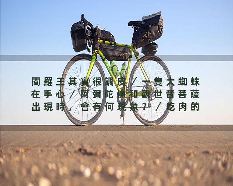 閻羅王其實很調皮／一隻大蜘蛛在手心／阿彌陀佛和觀世音菩薩出現時，會有何現象？／吃肉的人，可誦那個咒？／吃飯時，可誦那三…
