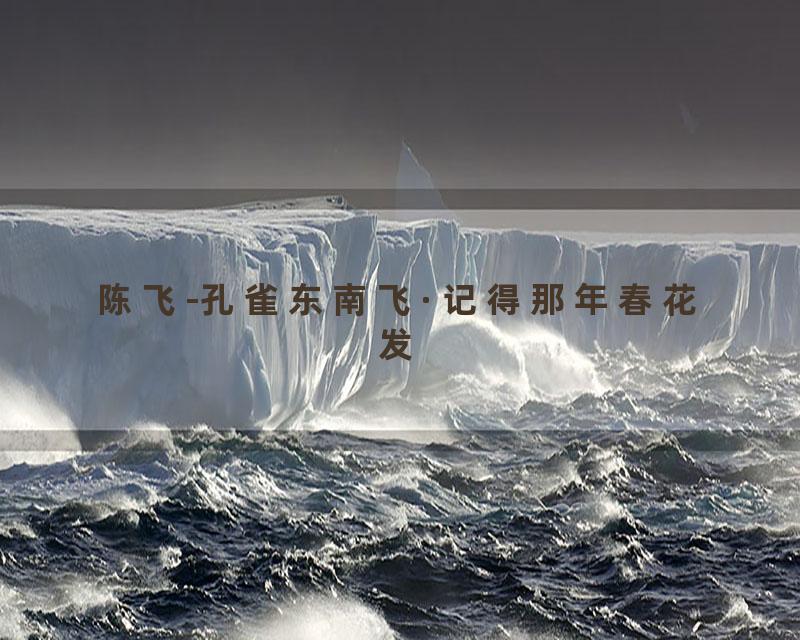 陈飞-孔雀东南飞·记得那年春花发