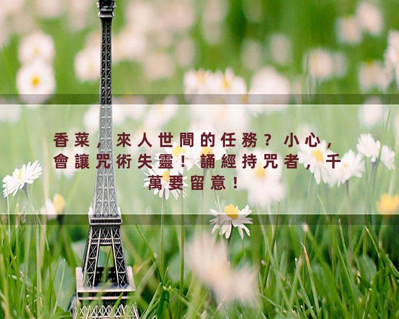 香菜，來人世間的任務？小心，會讓咒術失靈！誦經持咒者，千萬要留意！