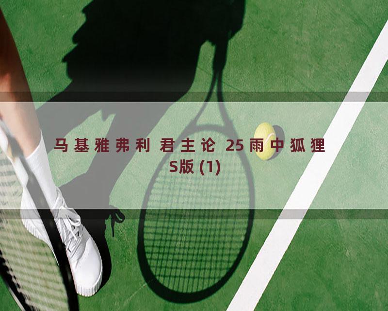 马基雅弗利 君主论 25 雨中狐狸 S版(1)