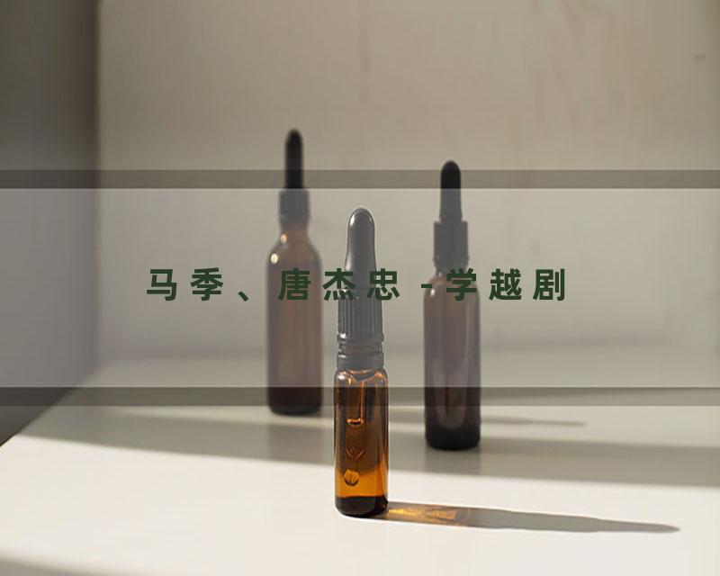 马季、唐杰忠 - 学越剧