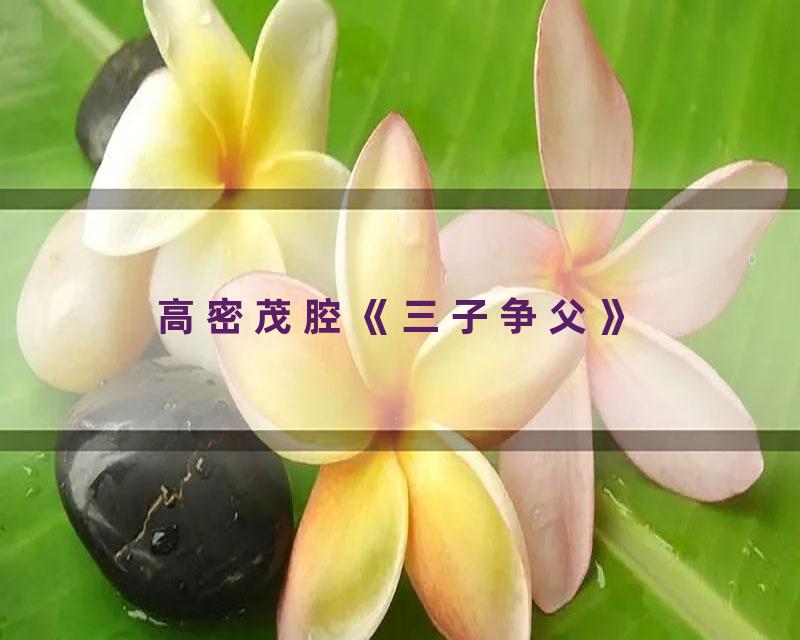 高密茂腔《三子争父》