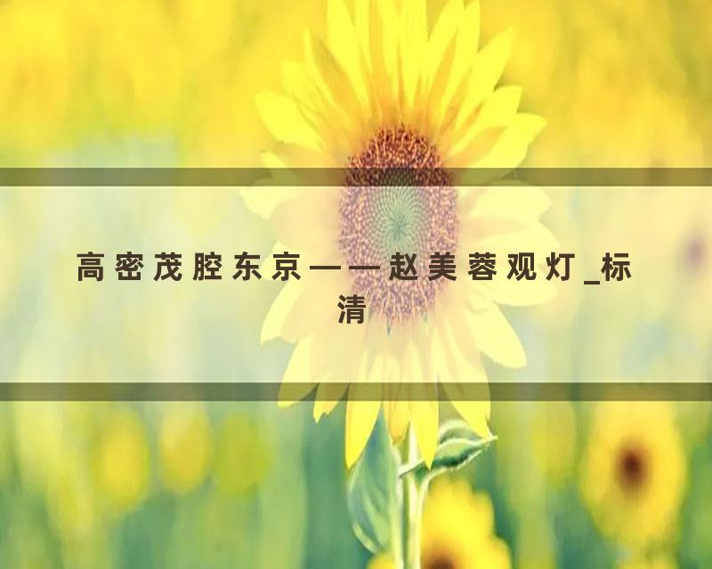 高密茂腔东京——赵美蓉观灯_标清