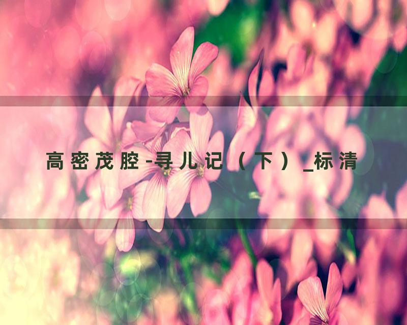 高密茂腔-寻儿记（下）_标清