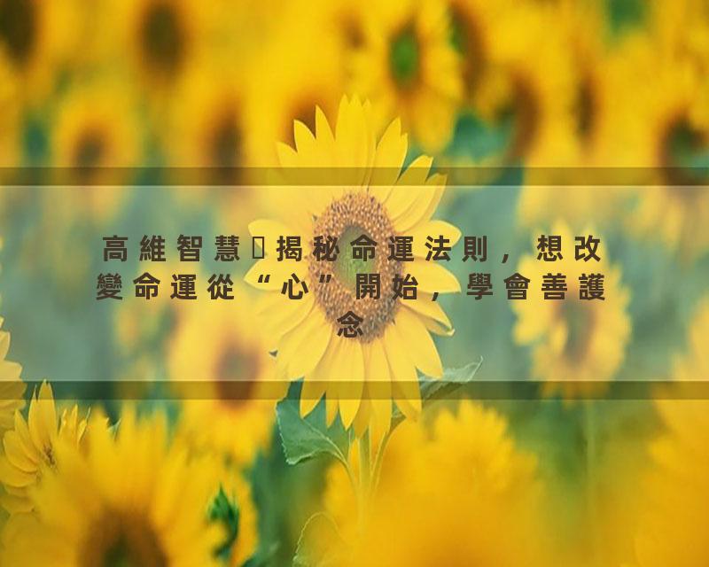 高維智慧揭秘命運法則，想改變命運從“心”開始，學會善護念