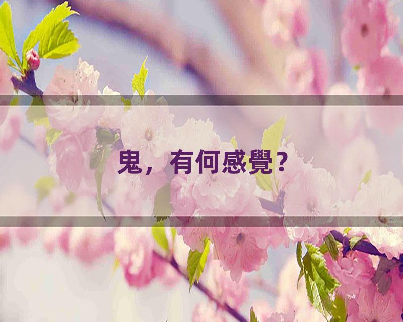 鬼，有何感覺？