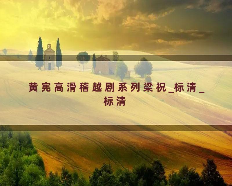 黄宪高滑稽越剧系列梁祝_标清_标清