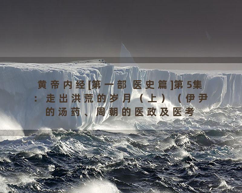 黄帝内经[第一部 医史篇]第5集：走出洪荒的岁月（上）（伊尹的汤药、周朝的医政及医考制）_标清