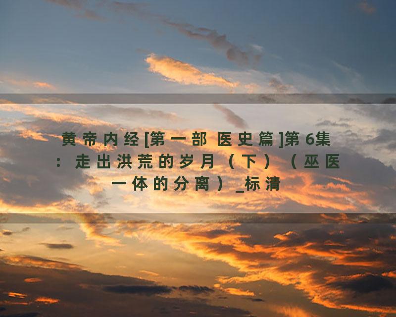 黄帝内经[第一部 医史篇]第6集：走出洪荒的岁月（下）（巫医一体的分离）_标清