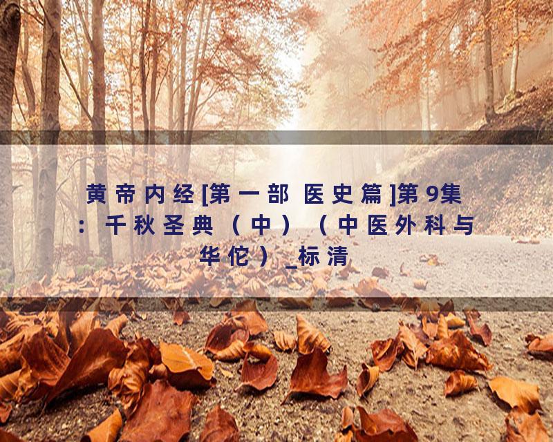 黄帝内经[第一部 医史篇]第9集：千秋圣典（中）（中医外科与华佗）_标清