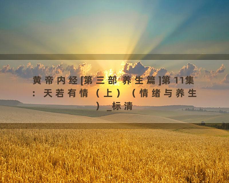 黄帝内经[第三部 养生篇]第11集：天若有情（上）（情绪与养生）_标清