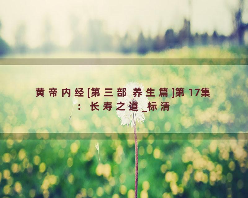 黄帝内经[第三部 养生篇]第17集：长寿之道_标清