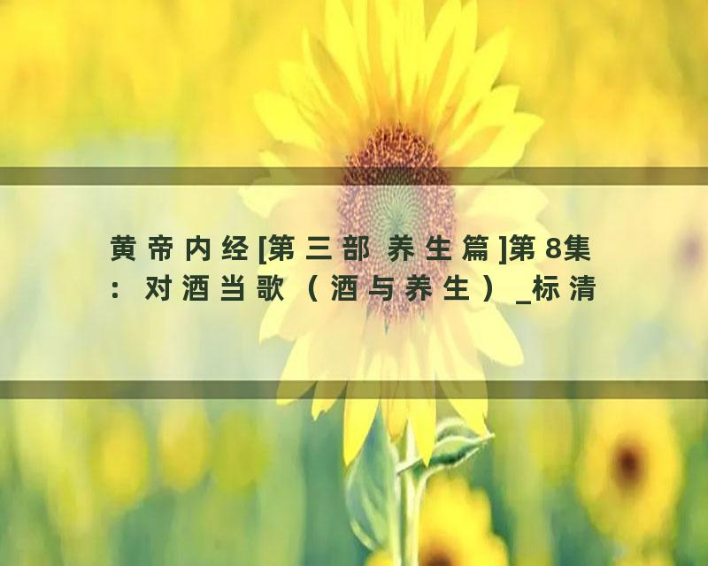 黄帝内经[第三部 养生篇]第8集：对酒当歌（酒与养生）_标清