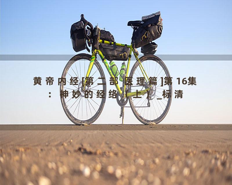 黄帝内经[第二部 医理篇]第16集：神妙的经络（上）_标清