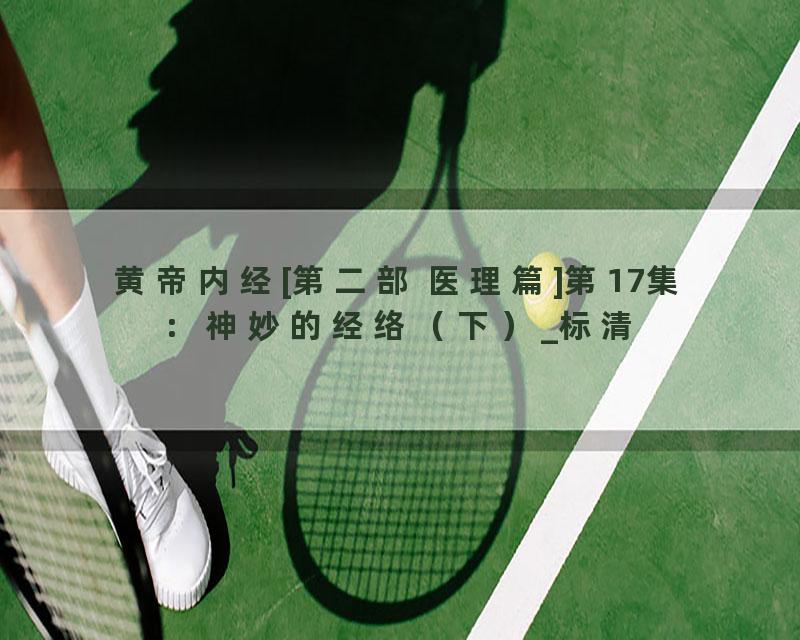 黄帝内经[第二部 医理篇]第17集：神妙的经络（下）_标清