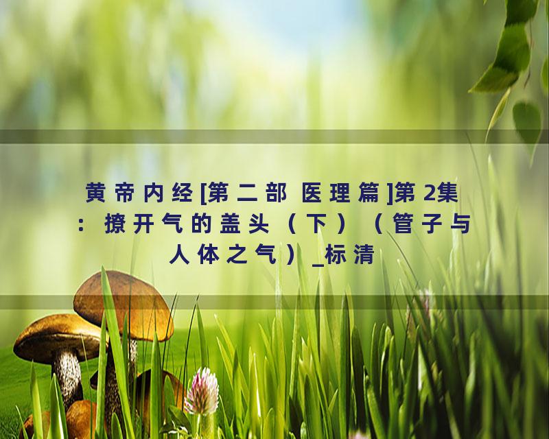 黄帝内经[第二部 医理篇]第2集：撩开气的盖头（下）（管子与人体之气）_标清