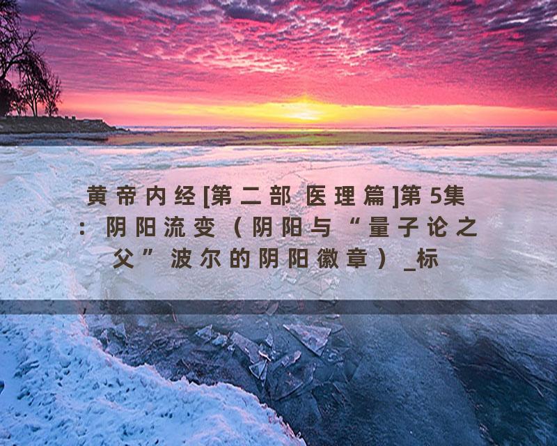 黄帝内经[第二部 医理篇]第5集：阴阳流变（阴阳与“量子论之父”波尔的阴阳徽章）_标清