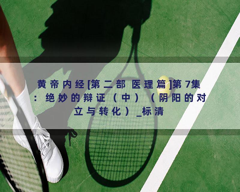 黄帝内经[第二部 医理篇]第7集：绝妙的辩证（中）（阴阳的对立与转化）_标清