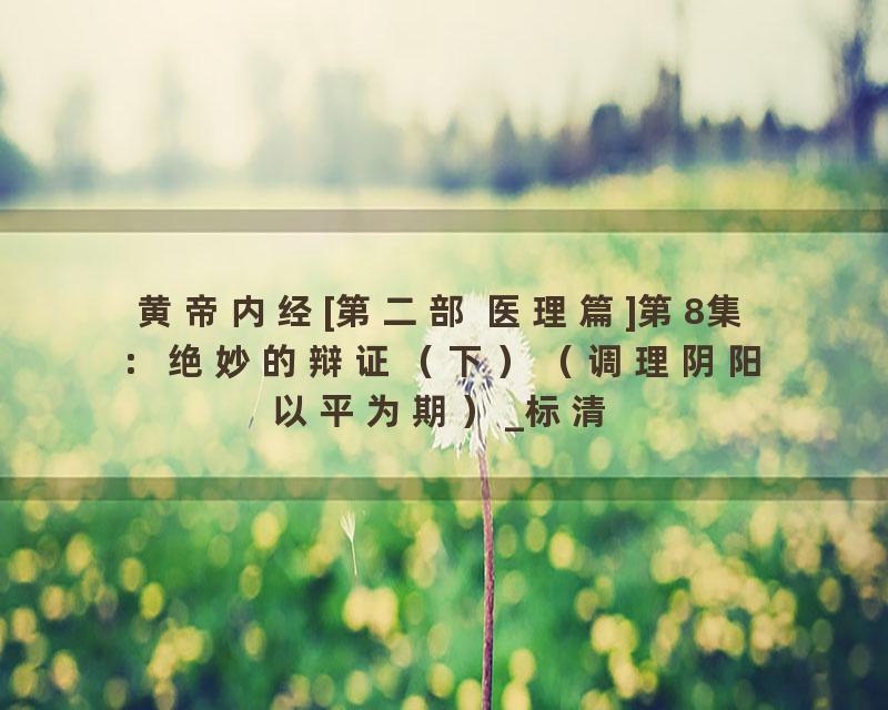 黄帝内经[第二部 医理篇]第8集：绝妙的辩证（下）（调理阴阳以平为期）_标清