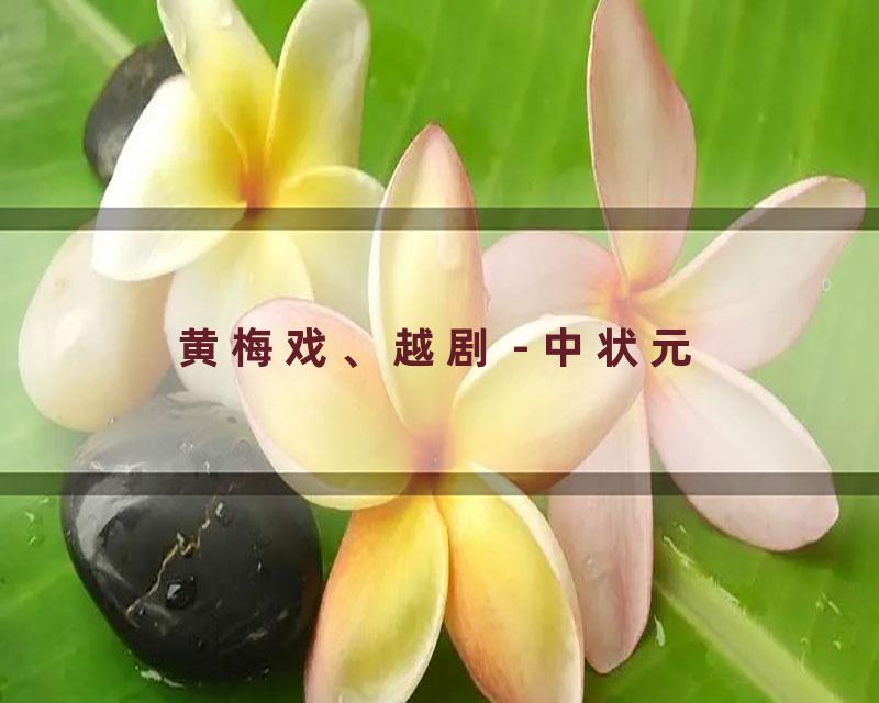 黄梅戏、越剧 - 中状元