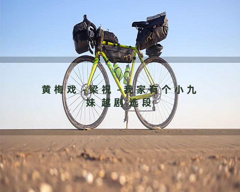 黄梅戏 - 梁祝 - 我家有个小九妹 越剧 选段