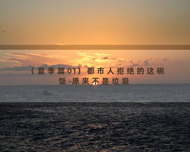（夏季篇01）都市人拒绝的这碗饭-原来不是垃圾
