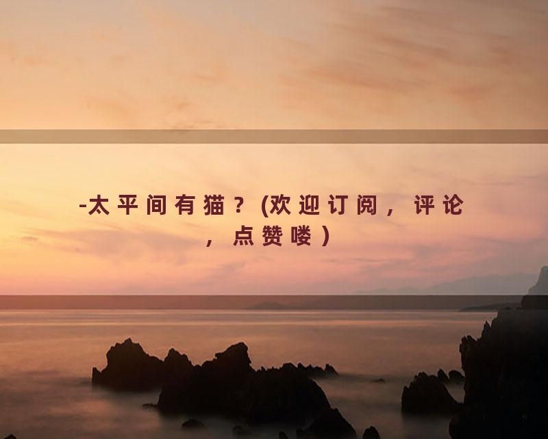 -太平间有猫？(欢迎订阅，评论，点赞喽）