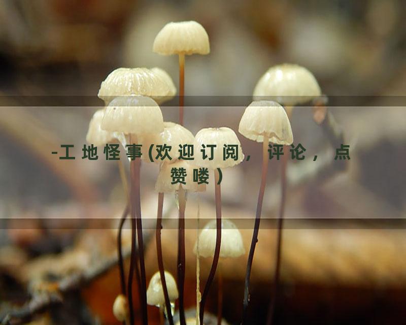 -工地怪事(欢迎订阅，评论，点赞喽）