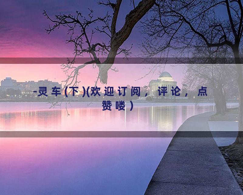 -灵车(下)(欢迎订阅，评论，点赞喽）