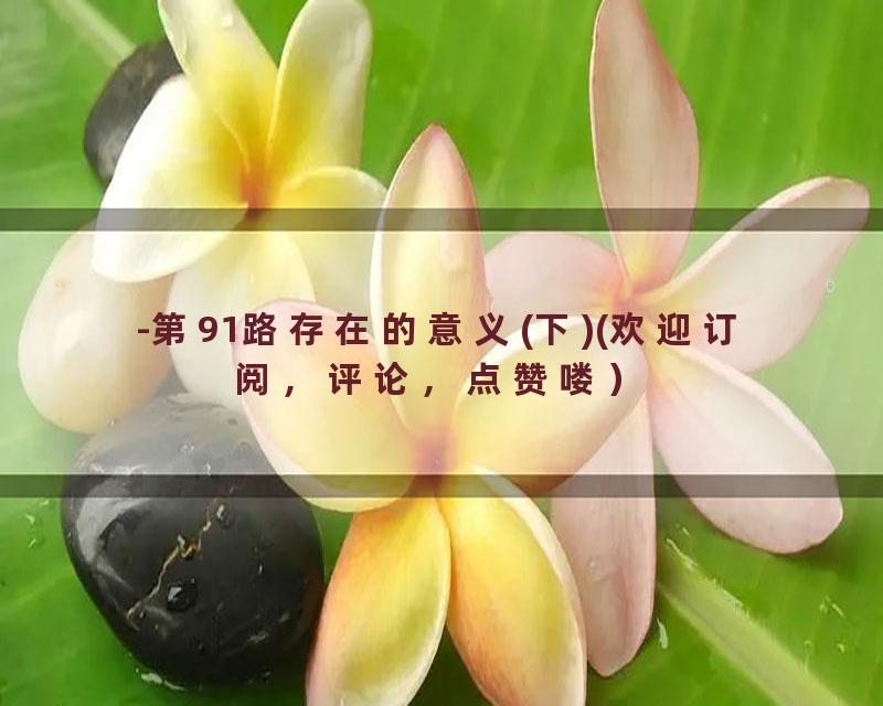 -第91路存在的意义(下)(欢迎订阅，评论，点赞喽）