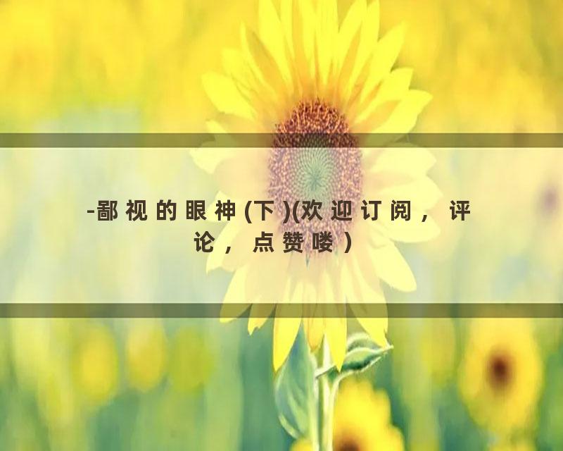 -鄙视的眼神(下)(欢迎订阅，评论，点赞喽）
